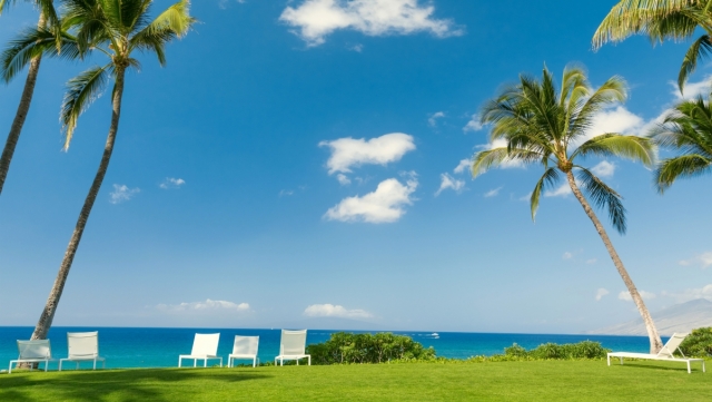 篮球创新器材包括哪些