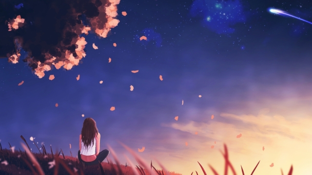 星空体育：室内健身脚踏车推荐