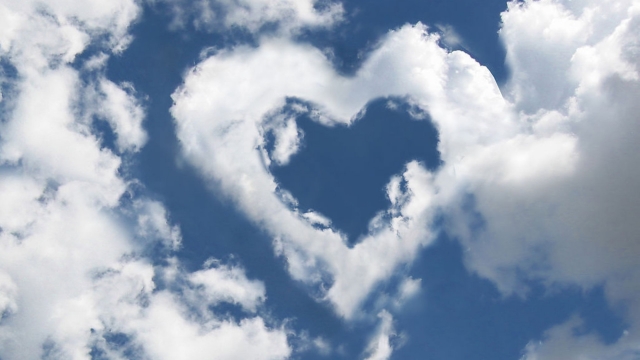 星空集团：室内健身房大喷淋